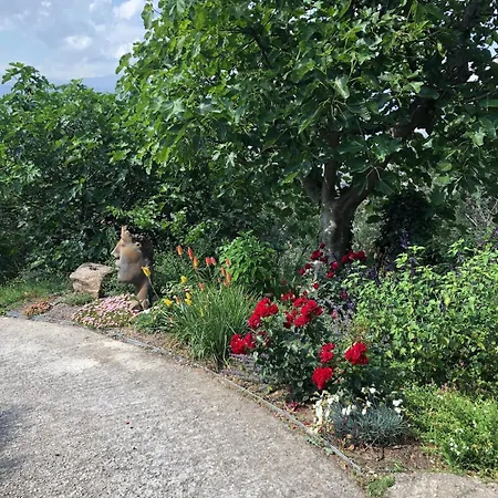 Monte Cassino Villa *